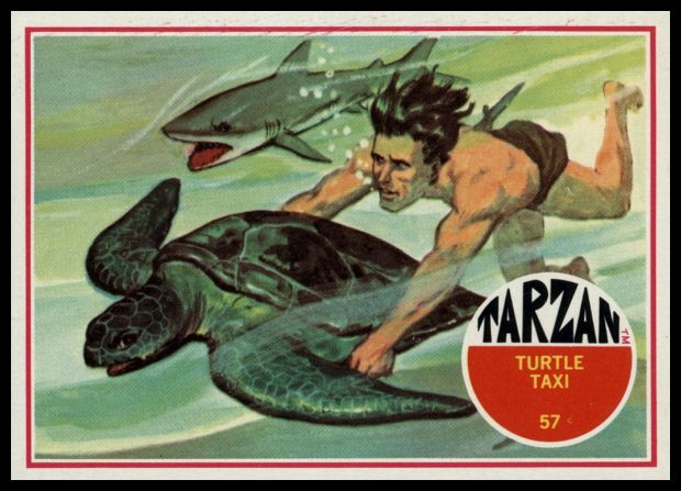 57 Turtle Taxi
